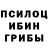 Псилоцибиновые грибы Cubensis CARGOBOBSIK