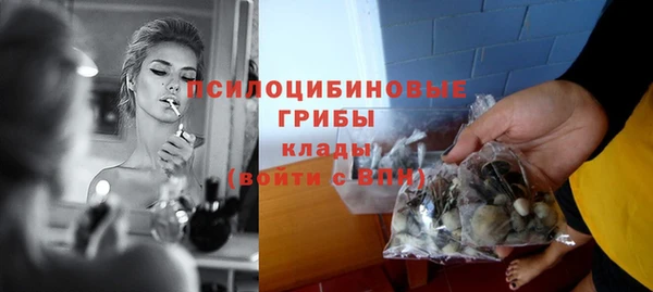 бутират Алексеевка