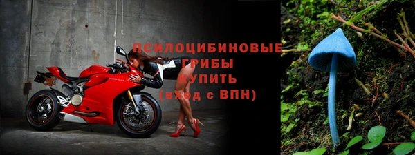 ECSTASY Абинск