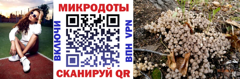 Галлюциногенные грибы мицелий  Шилка 