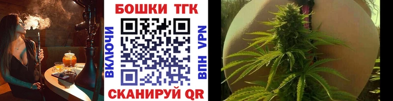 Марихуана THC 21%  где найти наркотики  Шилка 